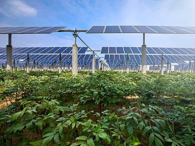 campo-coltivato-con-impianto-energia-rinnovabile