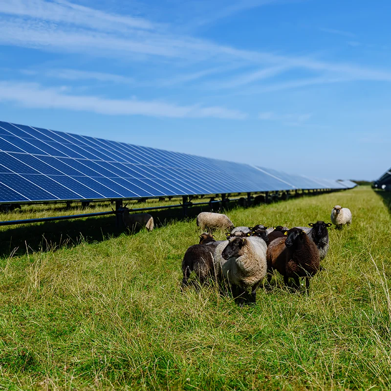 fotovoltaici-su-pergole-modena