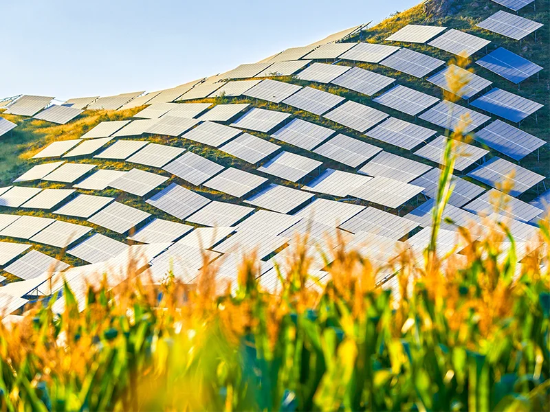 pannelli-fotovoltaici-per-aziende-agricole-ferrara-rovigo